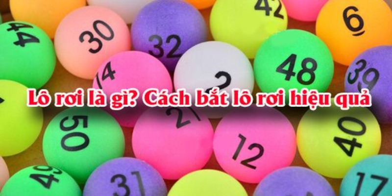 Tổng quan về lô rơi Tổng quan về lô rơi